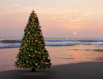 christmas tree on the outer banks