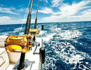 fishing poles on boat