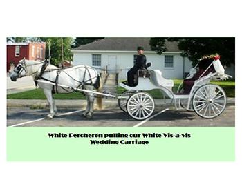 Carolina Carriages