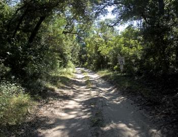 Old Doctor's Road, Buxton Woods