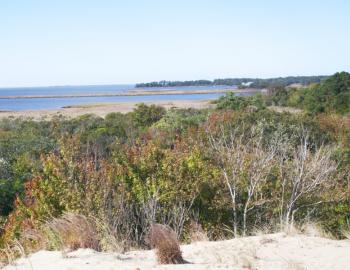 The fall colors are just beginning to show at Run Hill looking across Buzzard Bay.