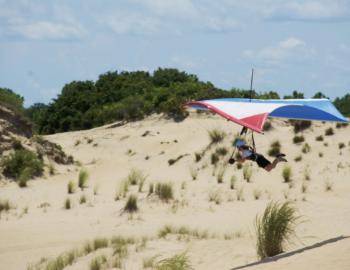 A hang gliding pilot flies over shrubs and grasses at the base of Jockey's Ridge.