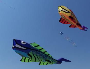 Kitty Hawk Kites Festival kites flying over Jockey's Ridge State Park.