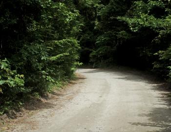 Old Nags Head Woods Road is perfect for a fat tire bike ride.