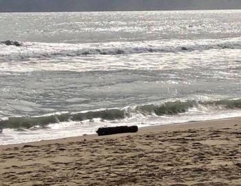 WWII ordinance on an Outer Banks beach. Colington explosive is older.