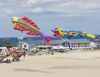 Kites decorate the sky at the 40th Annual Rogallo Kite Festival at Jockey's Ridge State Park.