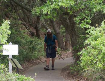 Ending his 1175 mile trek, Trail Marshall emerges from Jockey's Ridge foliage.