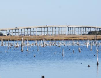 The Washington Baum Bridge looking north from the Manteo Marshes.