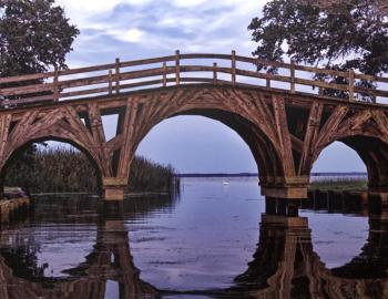 Morning Reflection Corolla photograph by George Wood