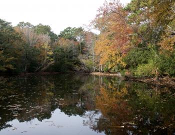 Autumn colors on a fresh pond at the base of Run Hill.