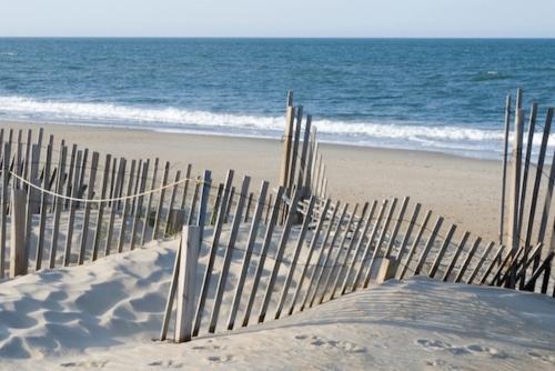 fencing on beach installed to help with sand erosion