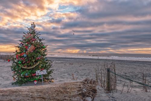 decorated christmas tree on the beach
