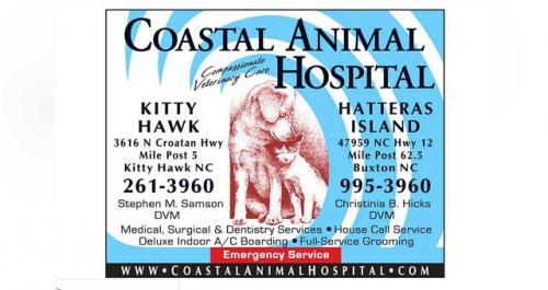 Pet Boarding - Coastal Animal Hospital | Brindley Beach Vacations