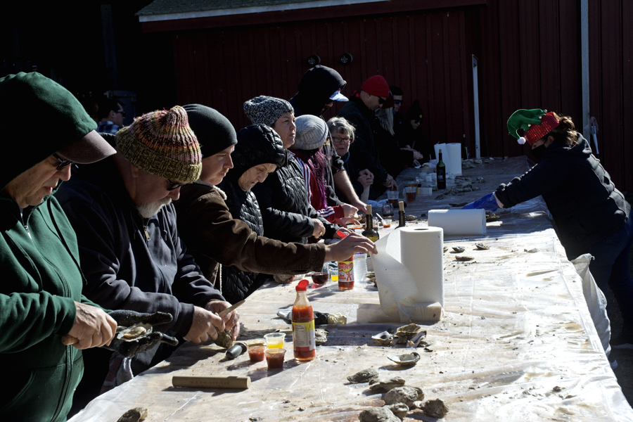 Shucking Oysters at the Big Currishuck at Sanctuary Vineyards in Jarvisburg.