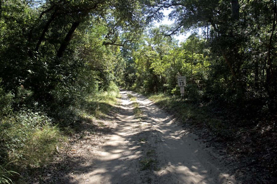 Old Doctor's Road, Buxton Woods