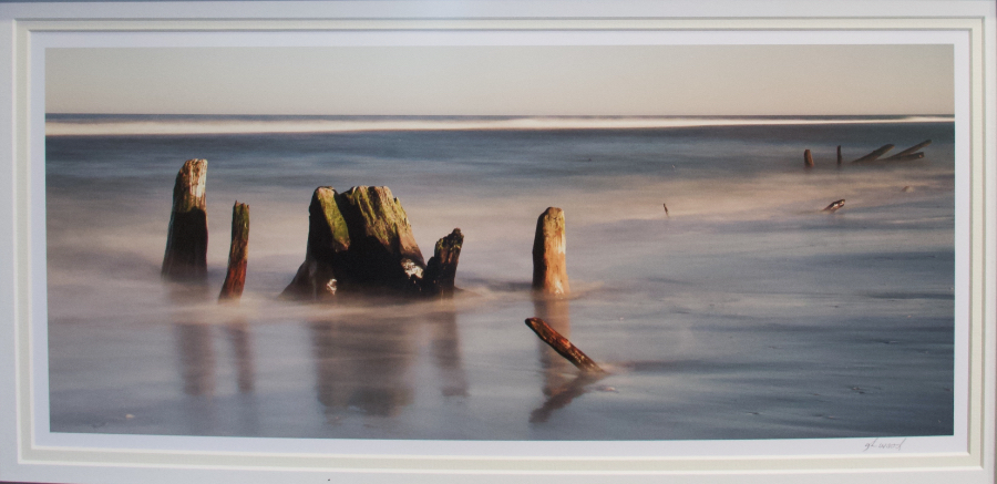 "The Beaches are moving" showing stumps of long submerged maritime forest in Carova.