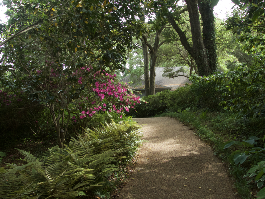 The paths in the Elizabethan Gardens are filled with delights for the senses.
