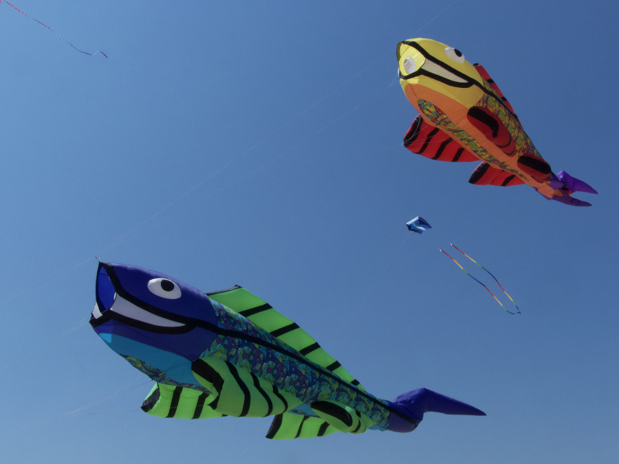 Kitty Hawk Kites Festival kites flying over Jockey's Ridge State Park.
