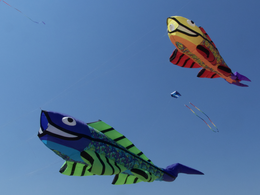 Kite Festival and Easter Egg Hunt at Kitty Hawk Kites Brindley Beach