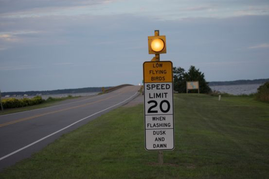 Top speed 20mph to save the purple martins.