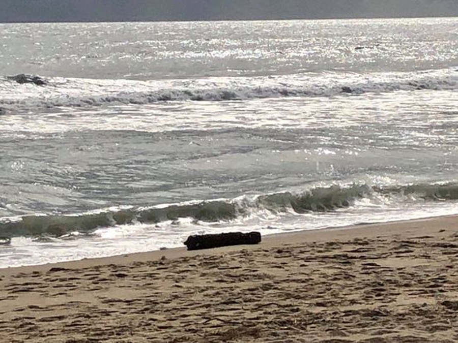 WWII ordinance on an Outer Banks beach. Colington explosive is older.