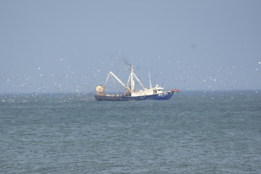 Shrimp trawler at work off Southern Shores