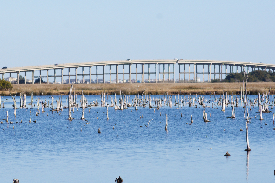 The Washington Baum Bridge looking north from the Manteo Marshes.