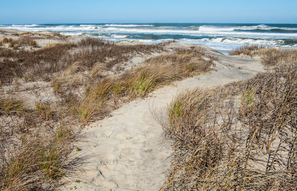 beach on hatteras island 