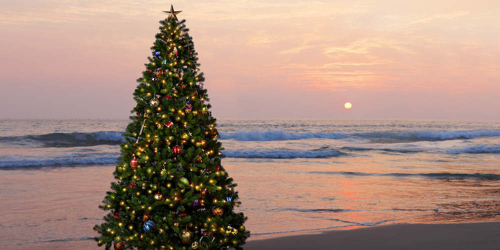 christmas tree on the beach in the outer banks