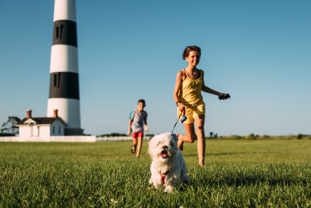 dog at a lighthouse on the outer banks