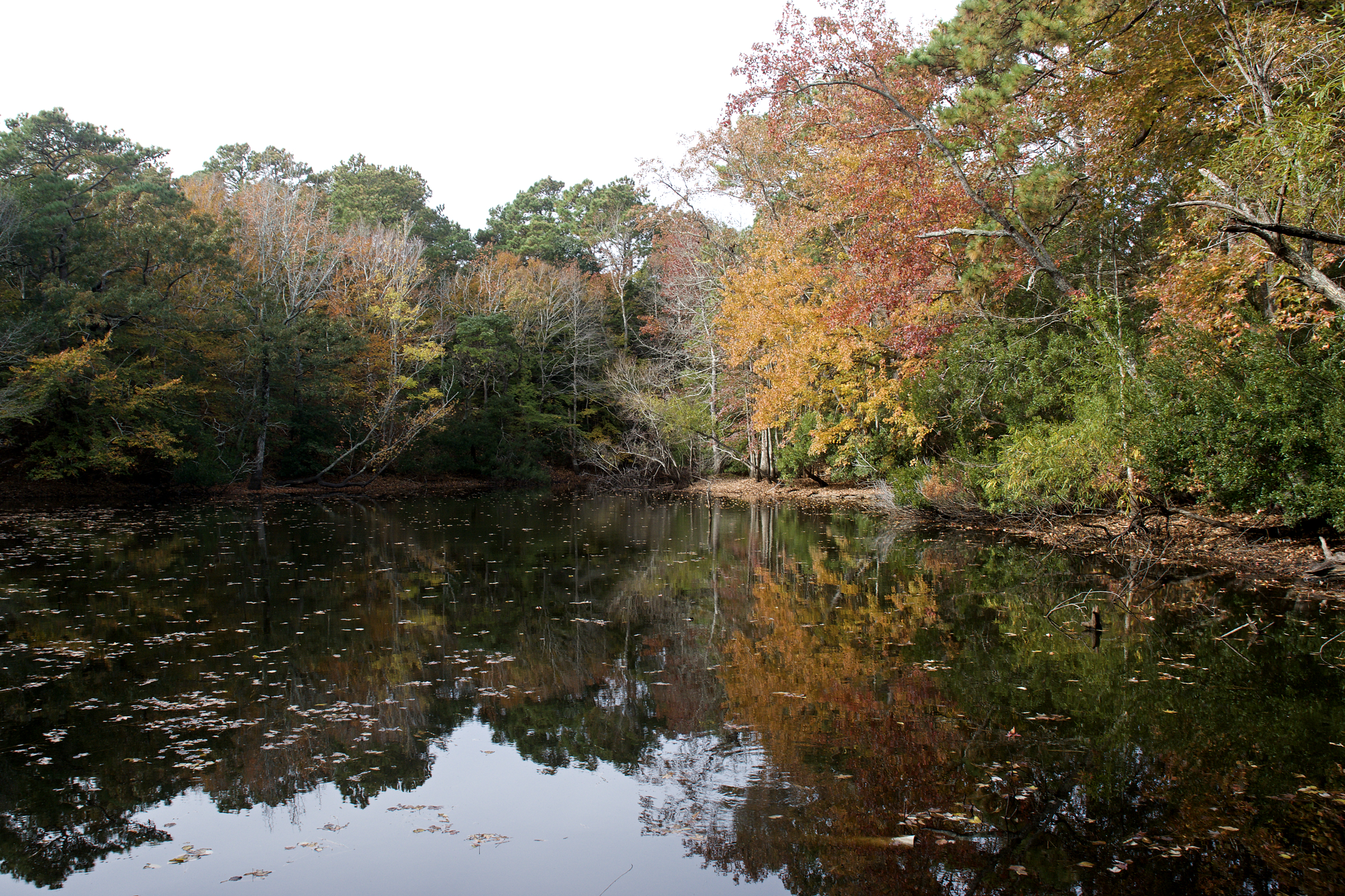 Autumn colors on a fresh pond at the base of Run Hill.
