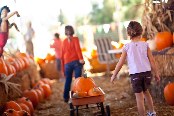 Children at the Harvest HayDay