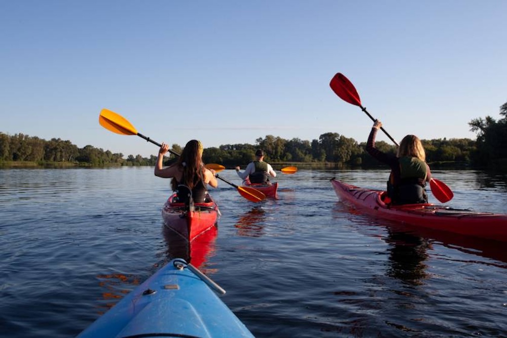 people kayaking